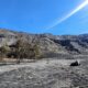 Kabar Baik dari Bromo: Titik Api Kebakaran Menyisa 1-2 Lokasi, Tim Gabungan Terus Geber Pemadaman